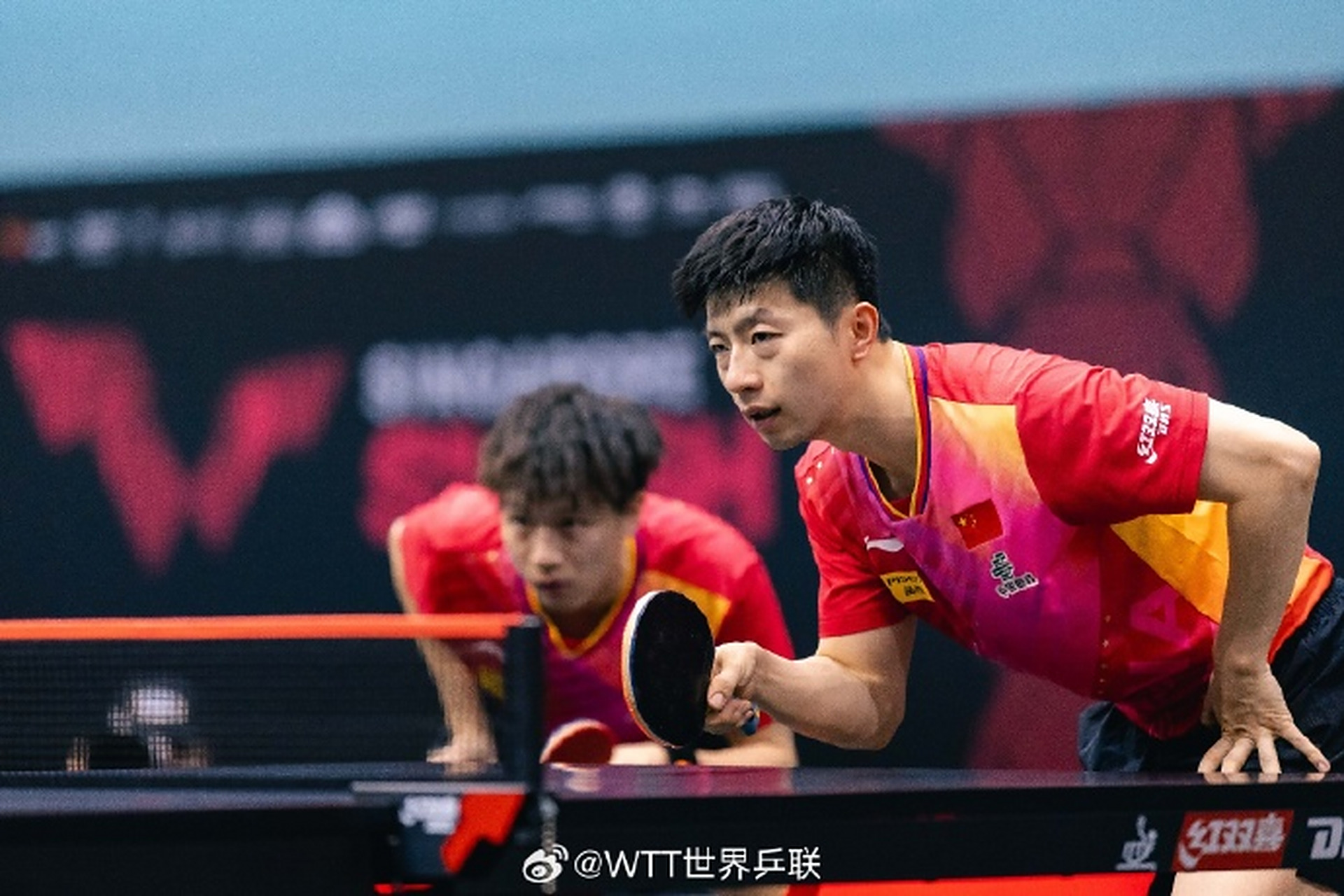 DB电竞-包含比利时乒乓球队完胜中国乒乓球队,马龙绝境逆转的词条