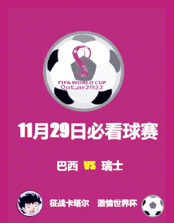 瑞士足球代表队换帅作战，为世界杯再战