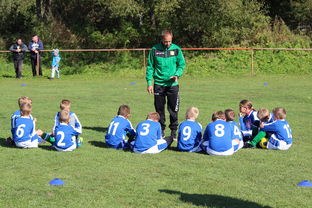 DB电竞平台-奥地利乒乓球队血洗瑞典乒乓球队,王皓送出助攻:一场史诗级对决的背后